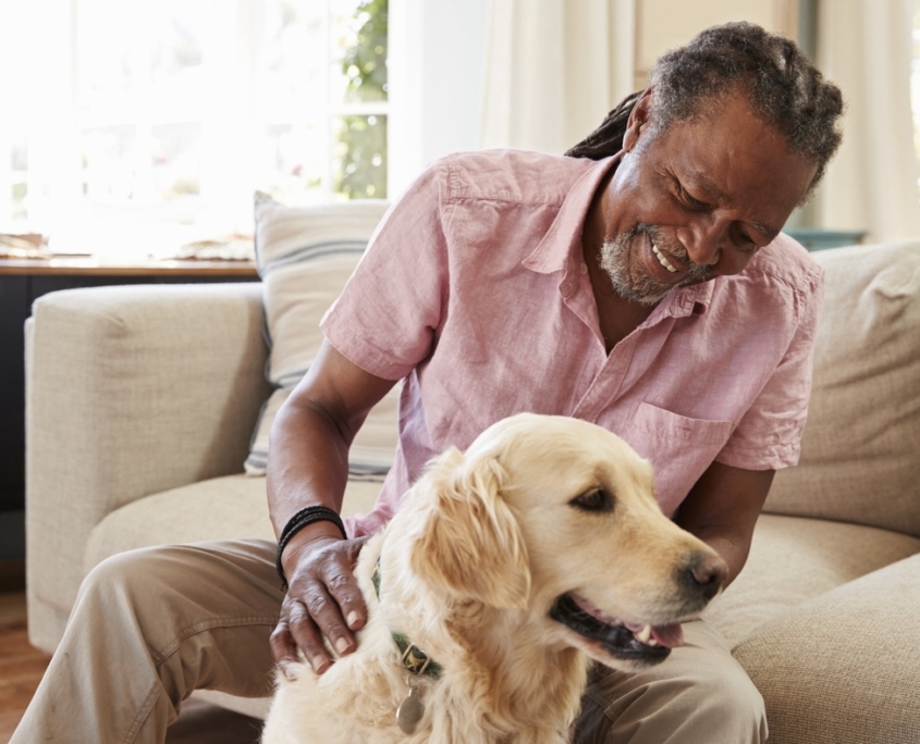 Senior Man Sitting On Sofa At Home With Pet Labrador Dog